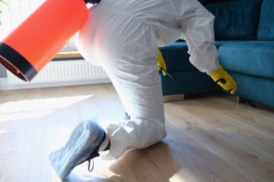 Commercial Fumigation in Katy, TX