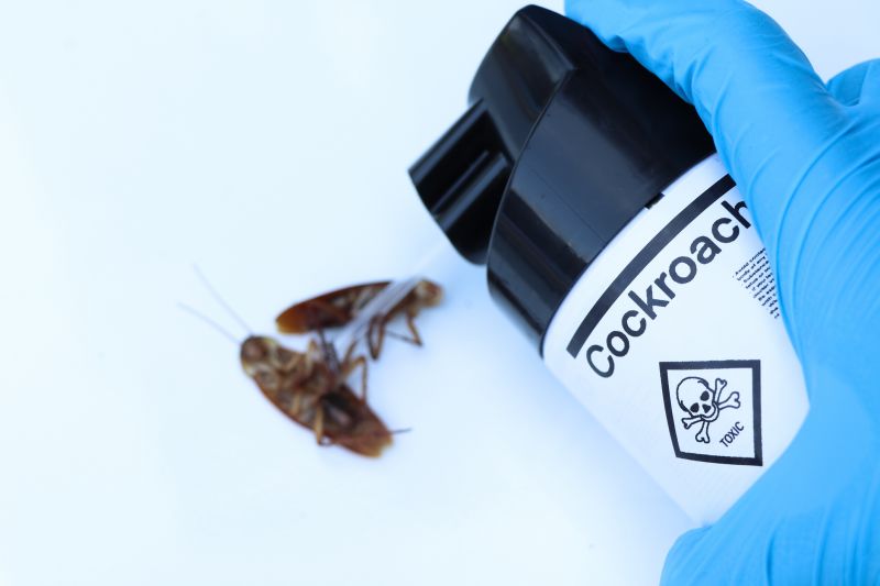 Products For Cockroach Control Service in use